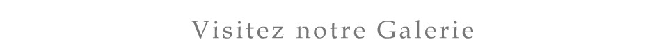 Visitez notre Galerie